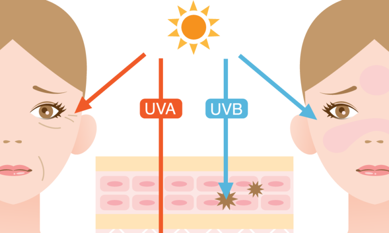 紫外線による肌への影響